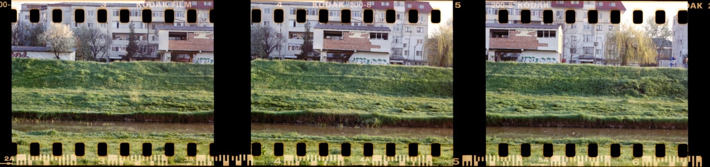 Composed photo of the grassy Bahlui river bank buildings and trees in the background 
