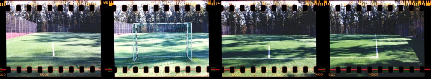 Composed photo of a football field with a goal and crisp white markings, surrounded by a lush canopy of trees.