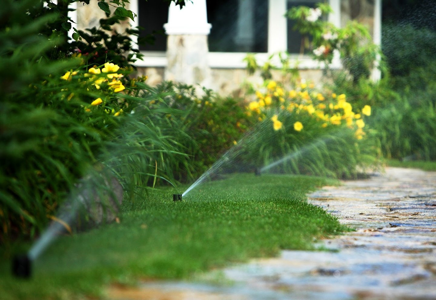 Automatic lawn sprinkler system watering a green garden landscape with yellow flowers and a stone path.