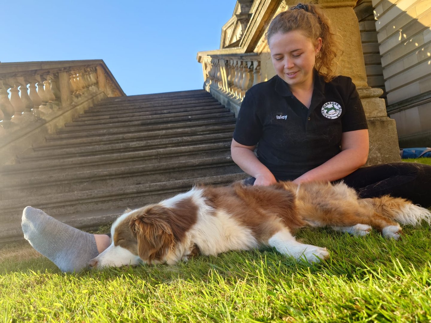canine massage in Edinburgh. arthritis, hip dysplasia, limping, hopping