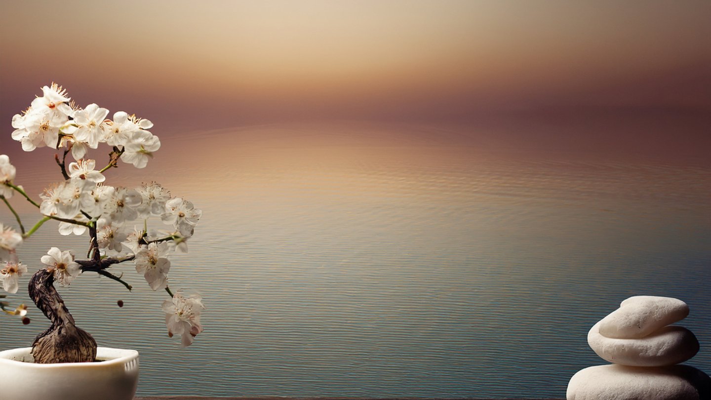 White cherry blossom bonsai tree and stacked zen stones over a calm water background.