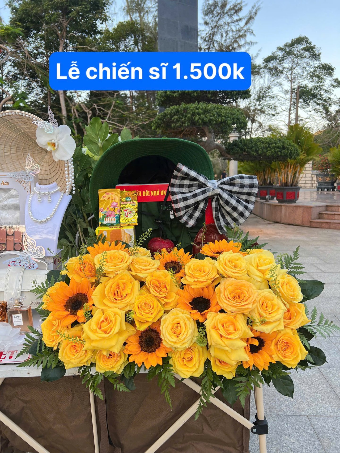 sam-le-co-sau-con-dao-chi-tiet