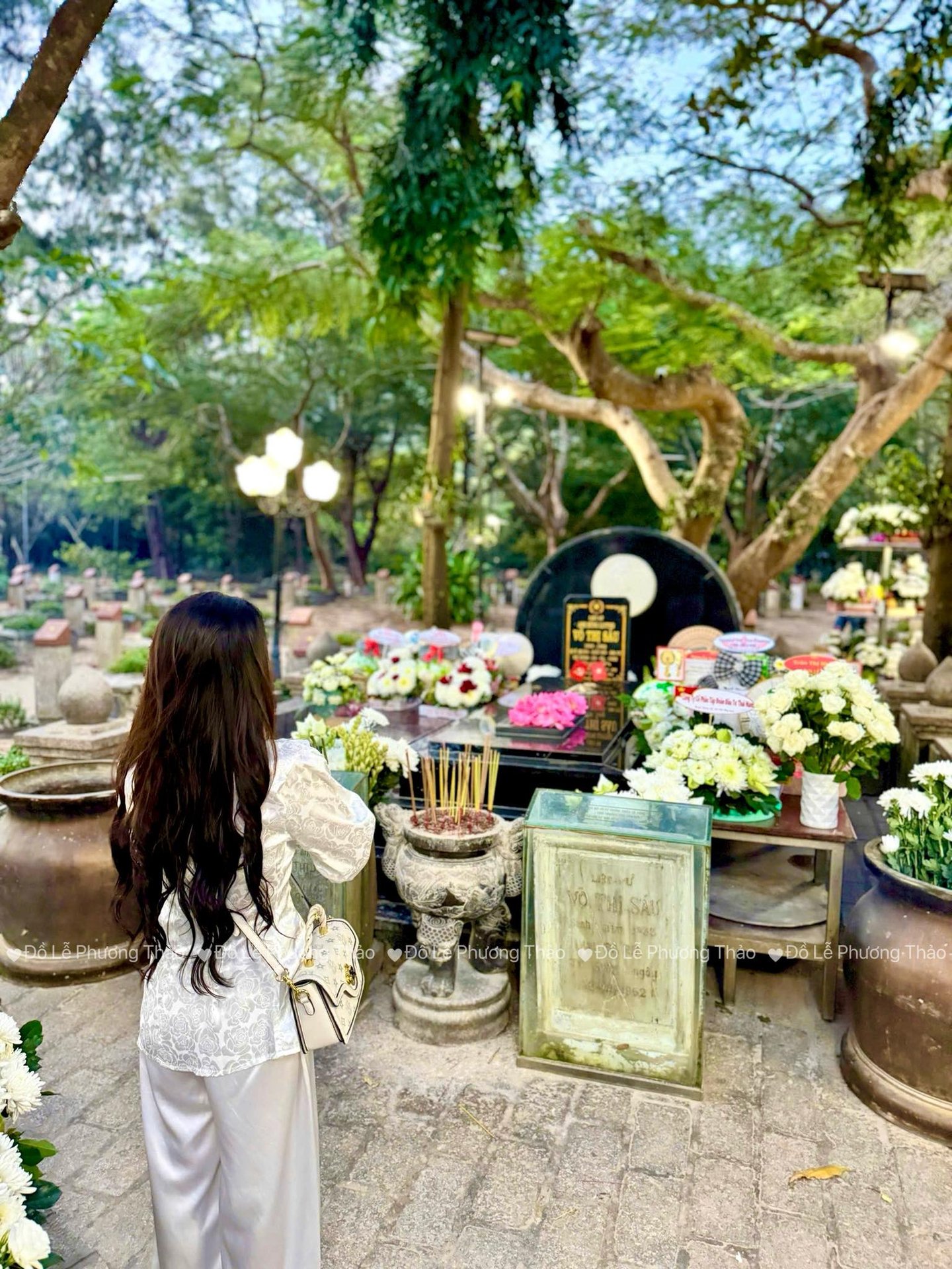 sam-le-co-sau-con-dao-chi-tiet