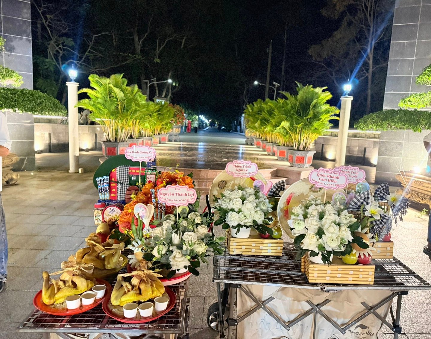 sam-le-co-sau-con-dao-chi-tiet