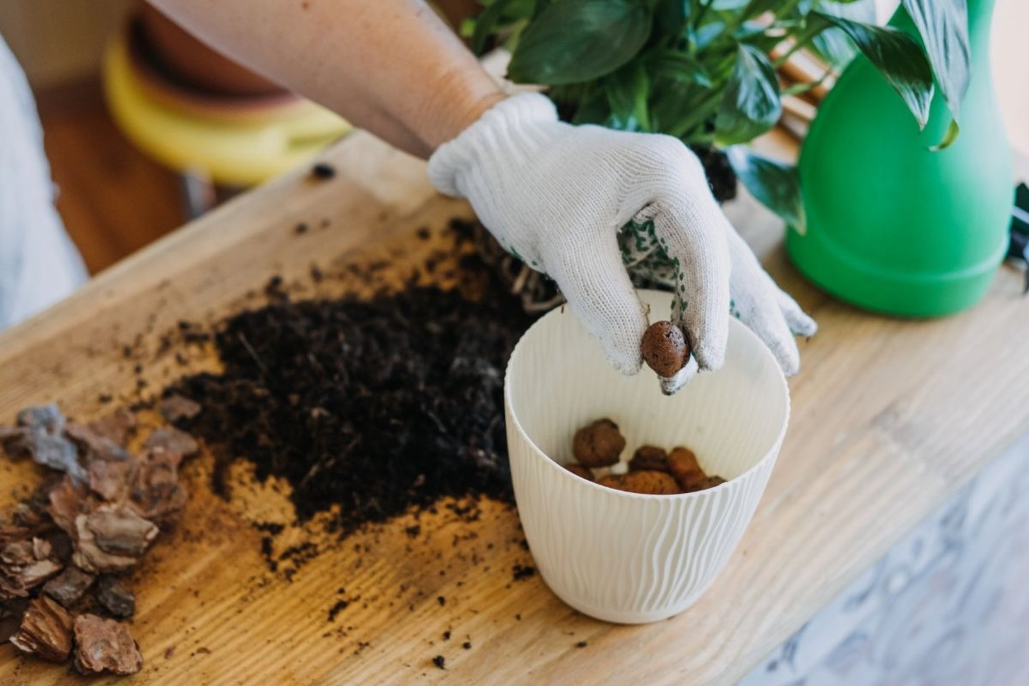 essential plant nutrients and ingredients guide