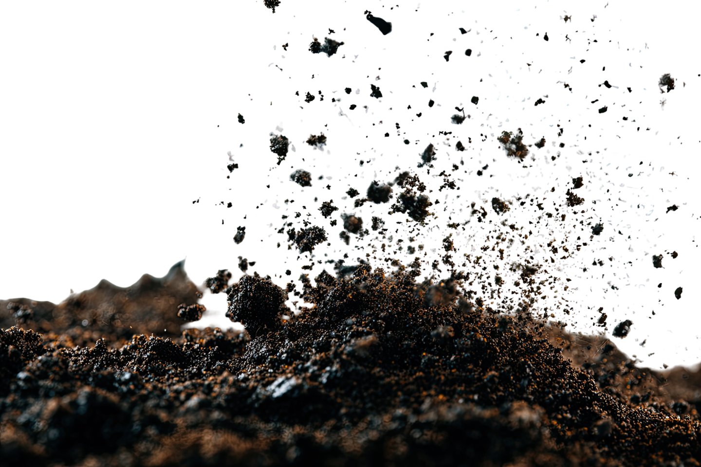 fertilizer guide for standard potting soil