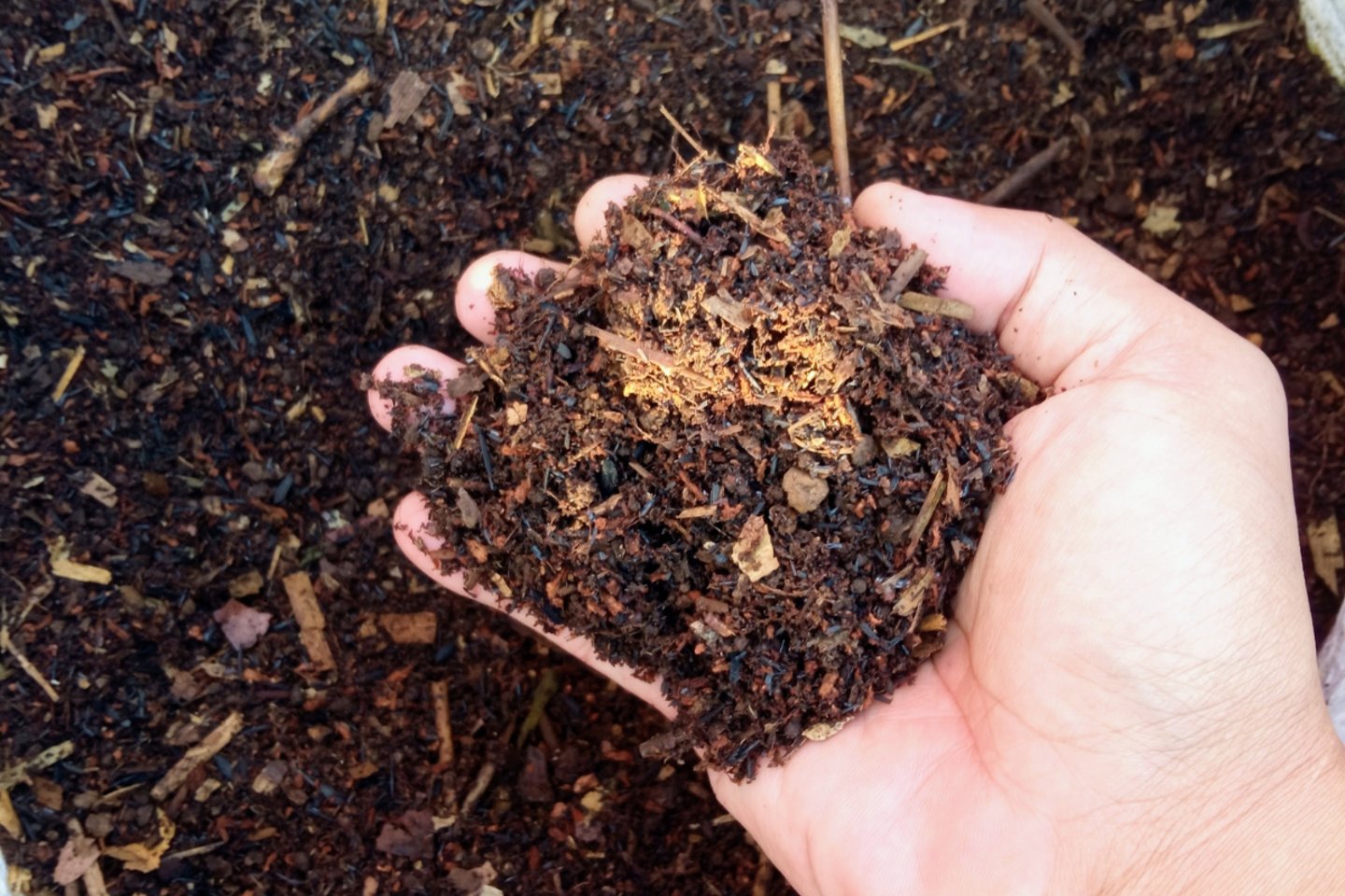 fertilizer tips for plants in chunky soil mix