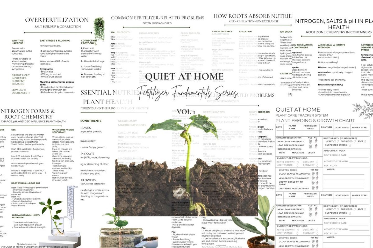 complete fertilizer guide for houseplants