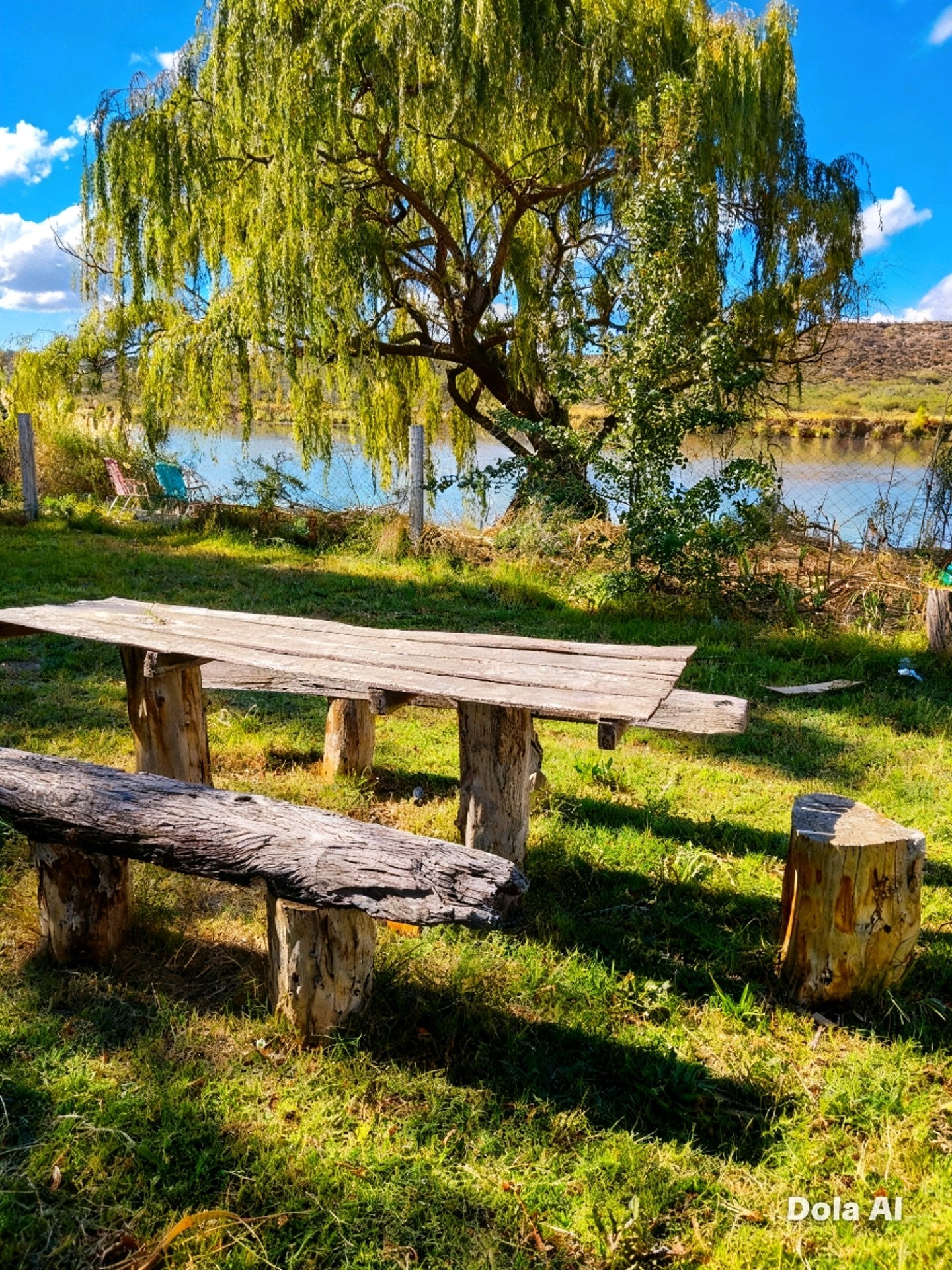 PATAGONIA ARGENTINA, COLONIA REIG EN RÍO COLORADO PROVINCIA DE RIO NEGRO, VISTA DESDE NUESTRO HOGAR.