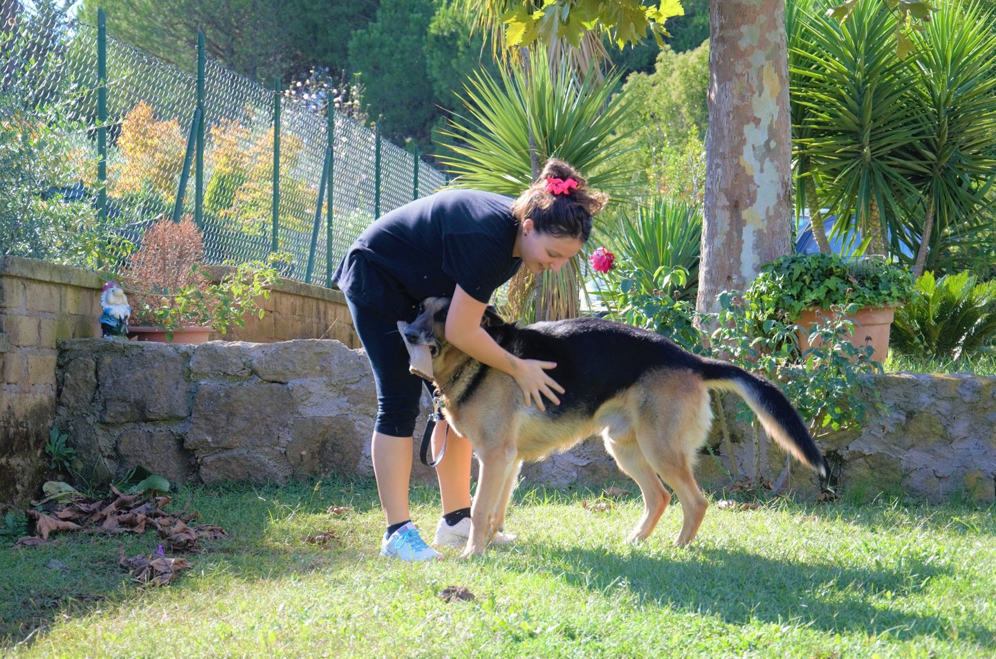 istruttore cinofilo faberdog durante addestramento cane