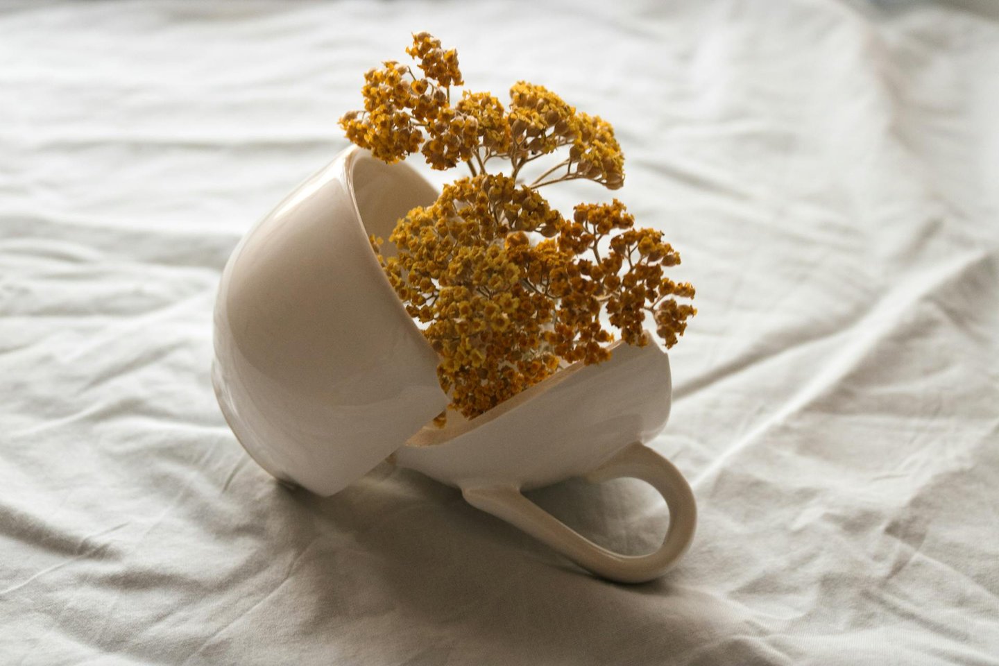 Weathered ceramic vessel with visible repair lines in soft natural light