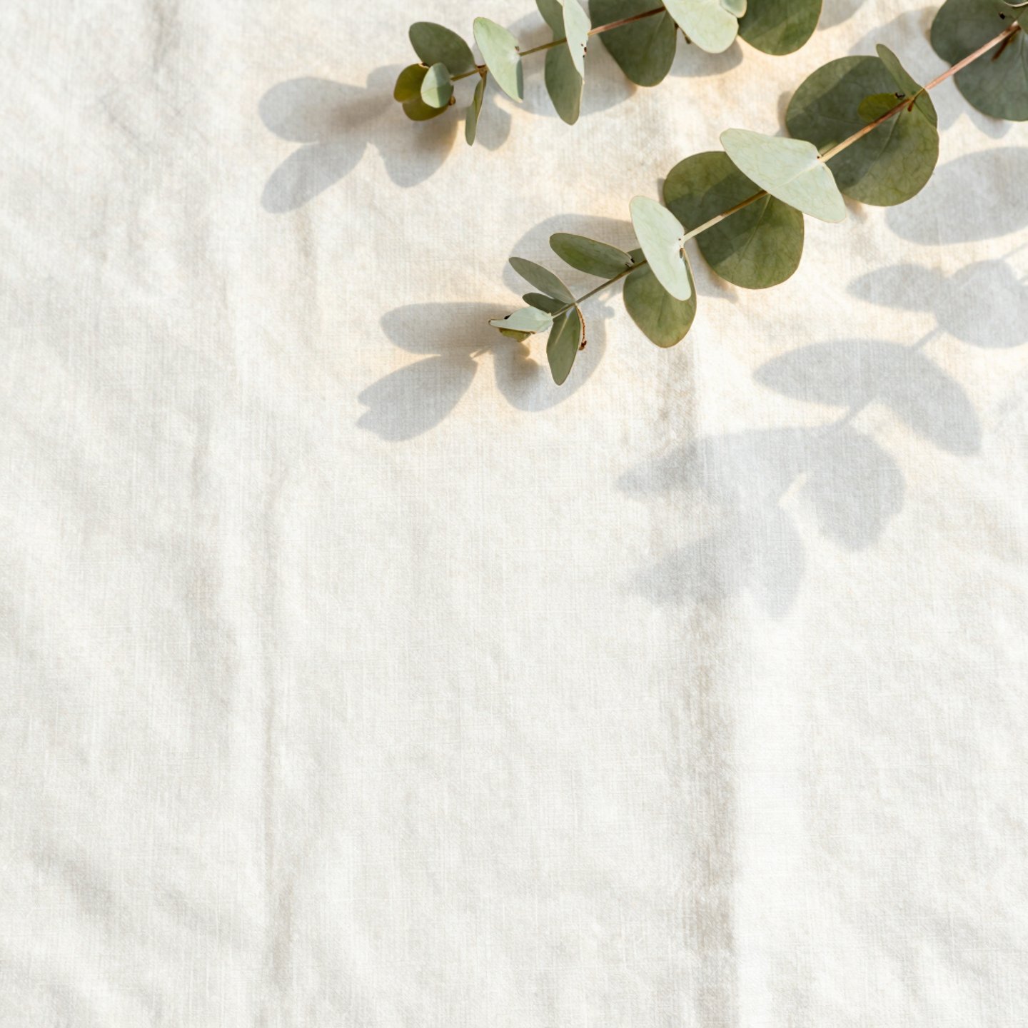 A serene, minimalist wellness space bathed in soft natural light with calming earth tones and subtle greenery.