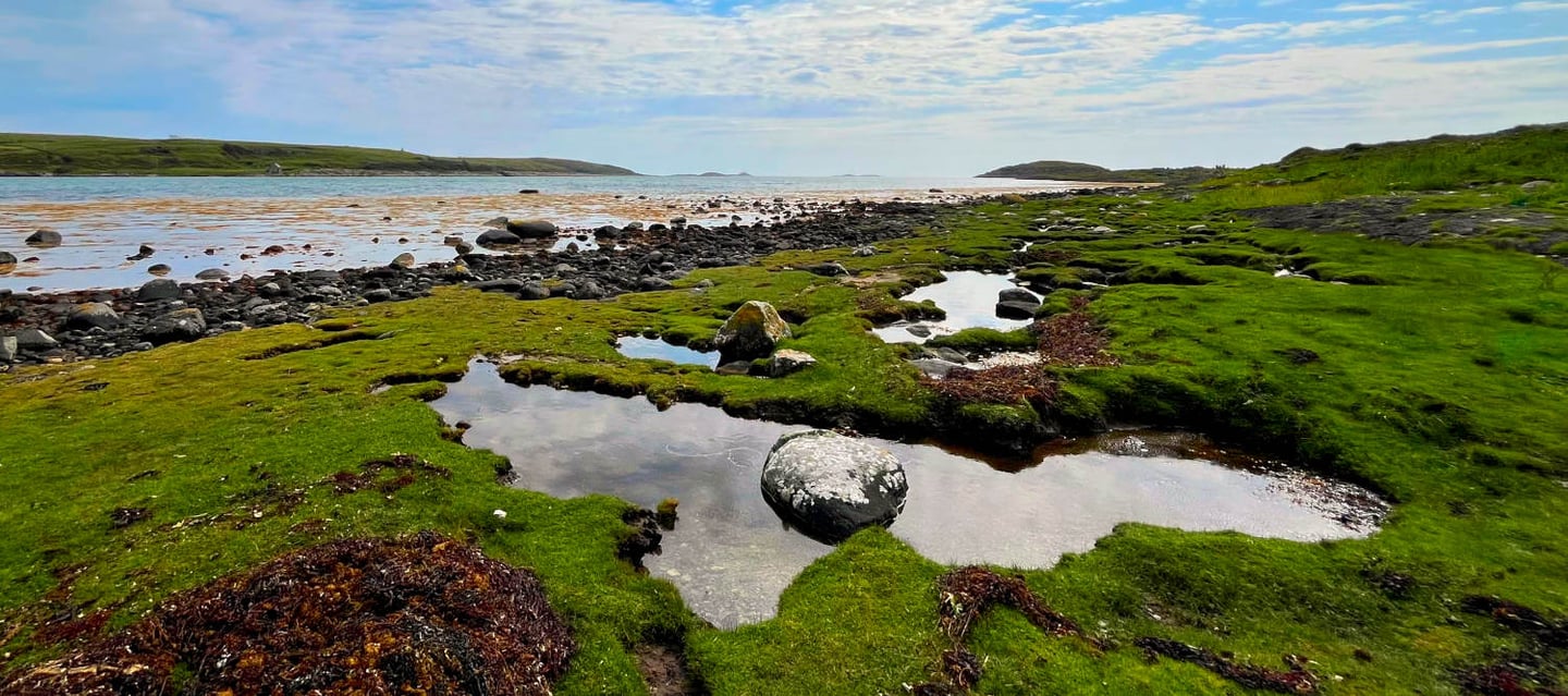 Coastal tidal landscape in Tayvallich, with rocky shoreline, seaweed, and distant hills under soft c