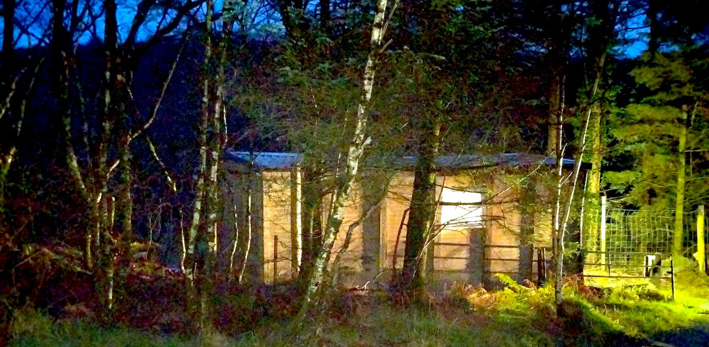 A small woodland studio with warm interior light, surrounded by birch and moss in a quiet forest gar