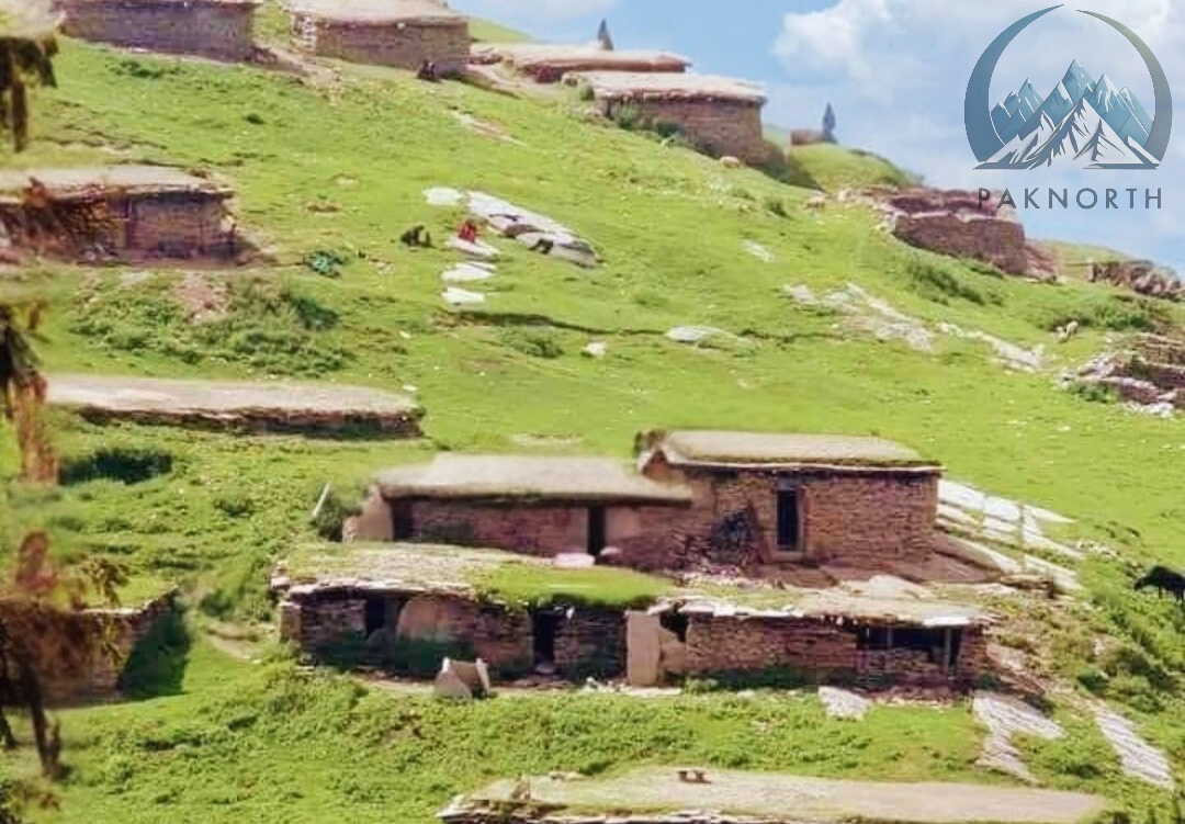 a mountain scene with a cow grazing in the grass along with old mud houses