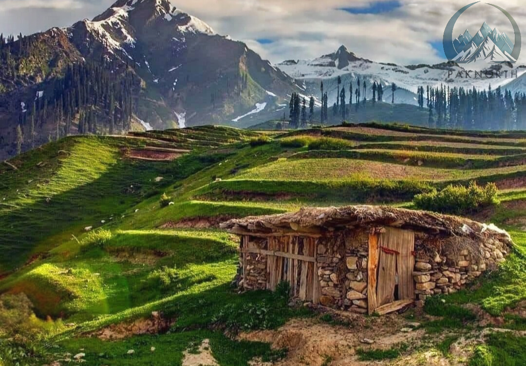 Old mud house in green step farms , Himalayan mountains in background