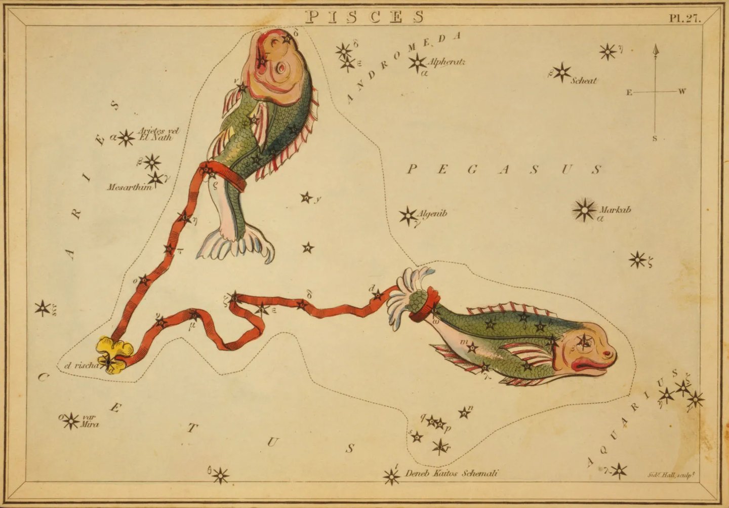 Pisces Constellations