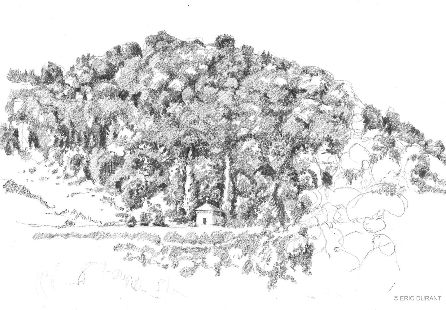 Dessin mine de plomb sur papier A4 - © Eric Durant