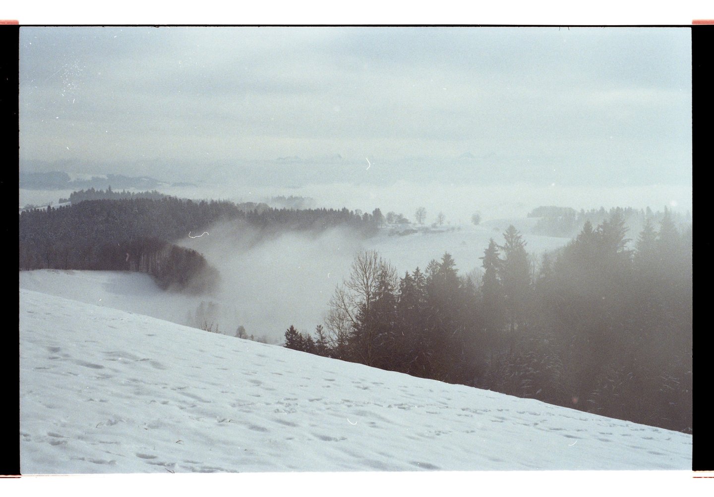 Eine neblige Winterlandschaft mit schneebedeckten Hügeln und Kiefernwäldern unter nebligem Himmel
