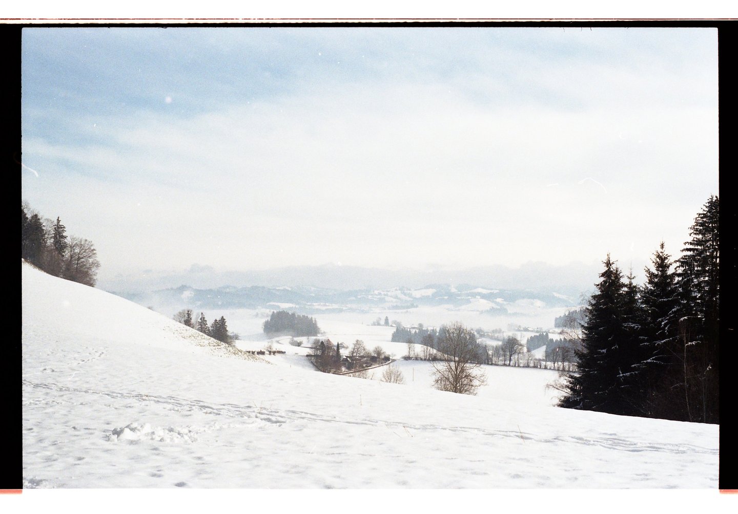 Ein schneebedecktes Tal mit Kiefern unter einem strahlend-dunstigen Himmel.