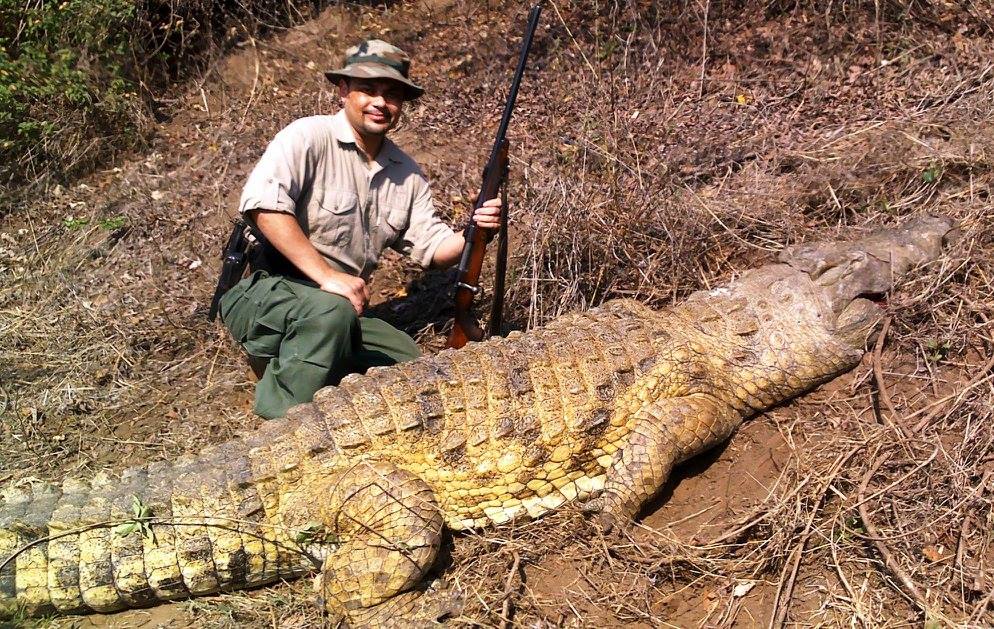 Ian Bartlett The Real Crocodile Hunter with a 16 ft Crocodile 