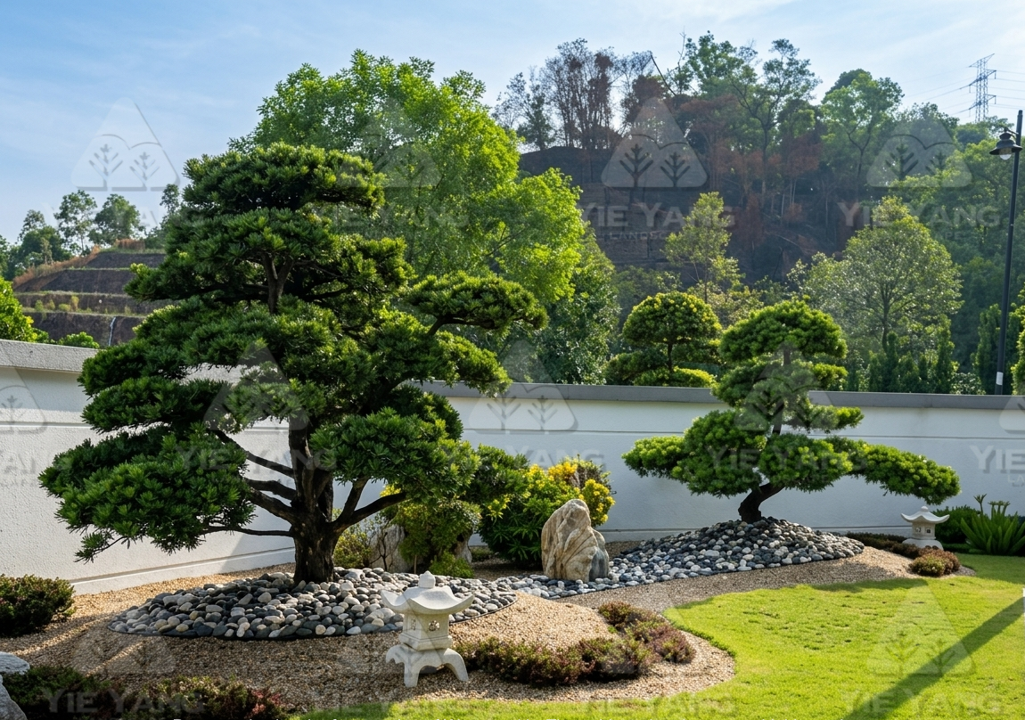 japanese-garden-bonsai-pine-stone-lantern-gravel-yie-yang-landscape