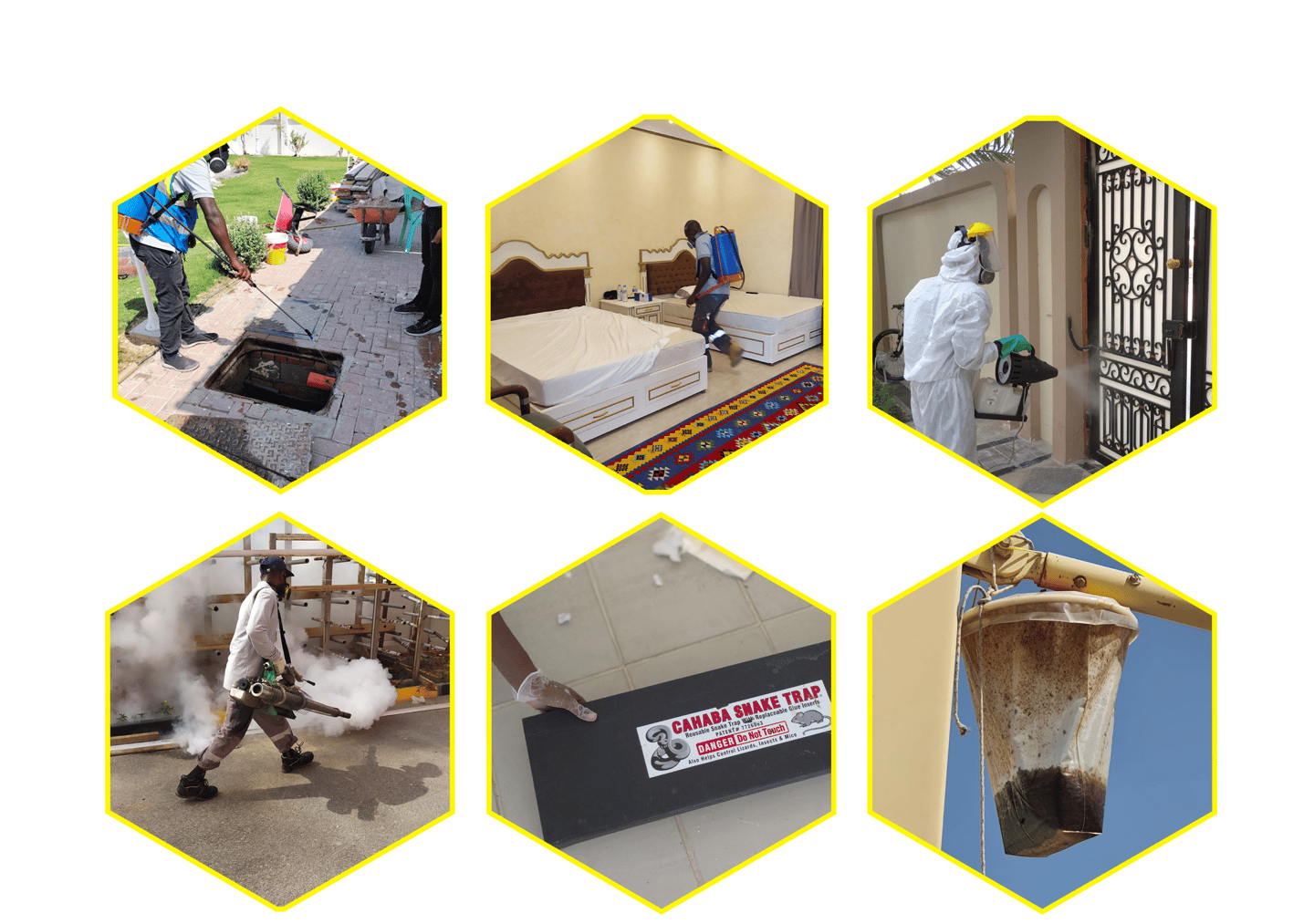 Workers wearing masks and tools are fighting pests.