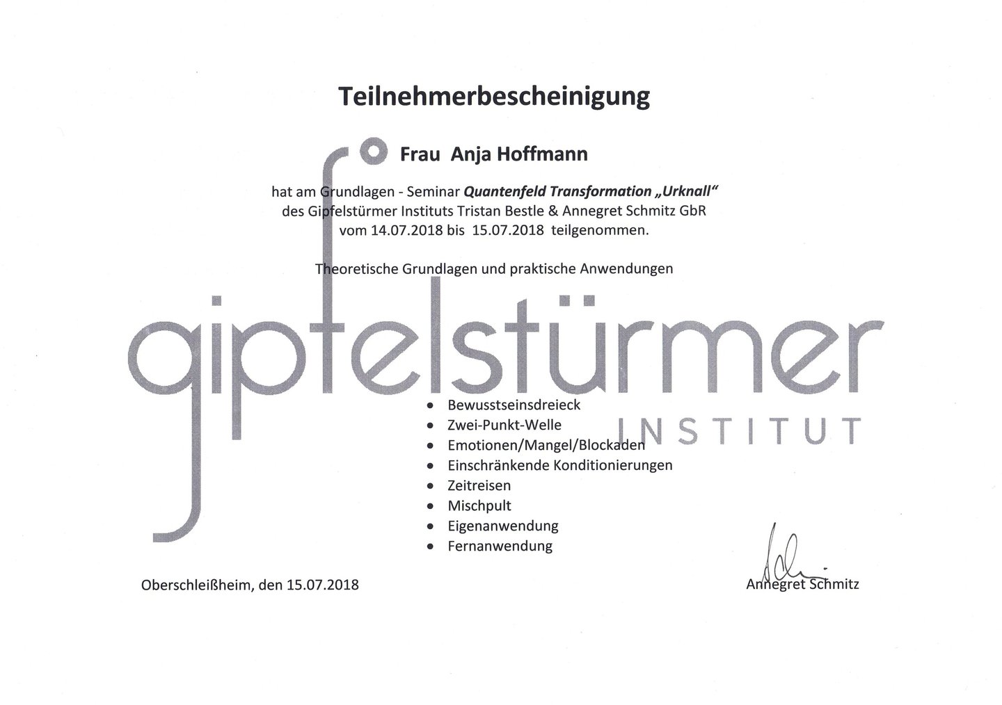 Teilnehmerbescheinigung zur Quantenfeld Theorie