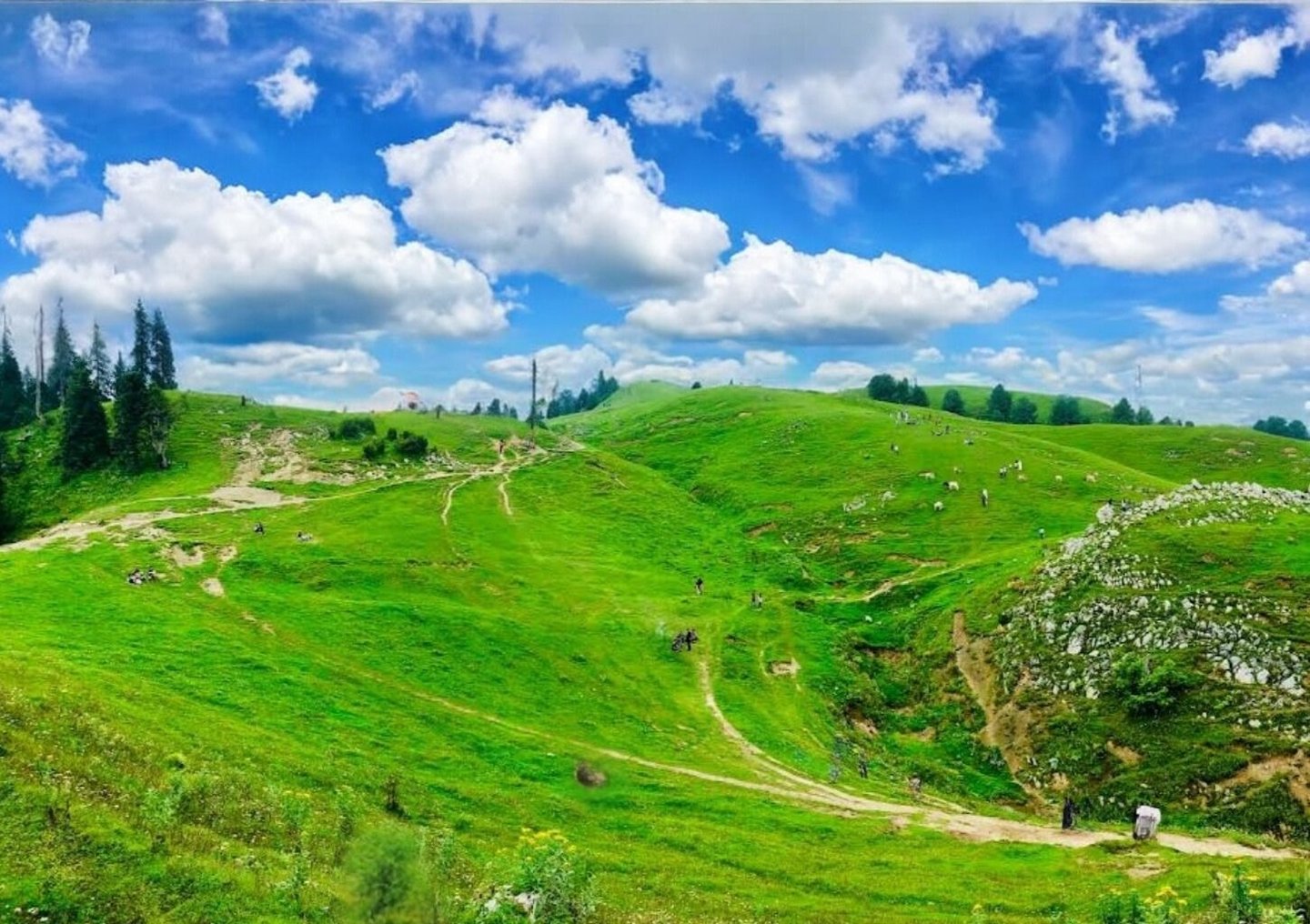 Mushkpuri top