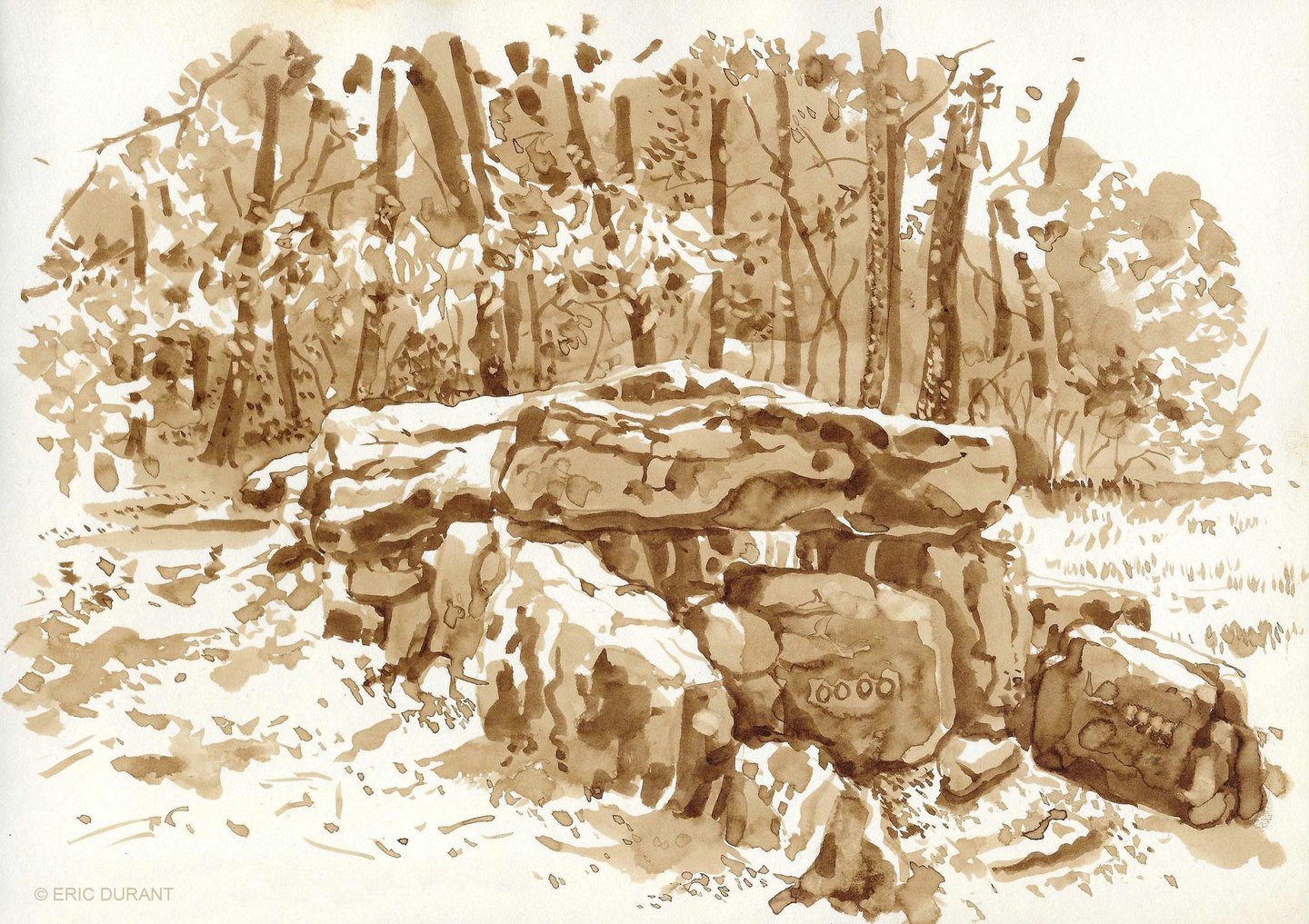 Lavis de brou de noix  sur papier A4 - © Eric Durant
