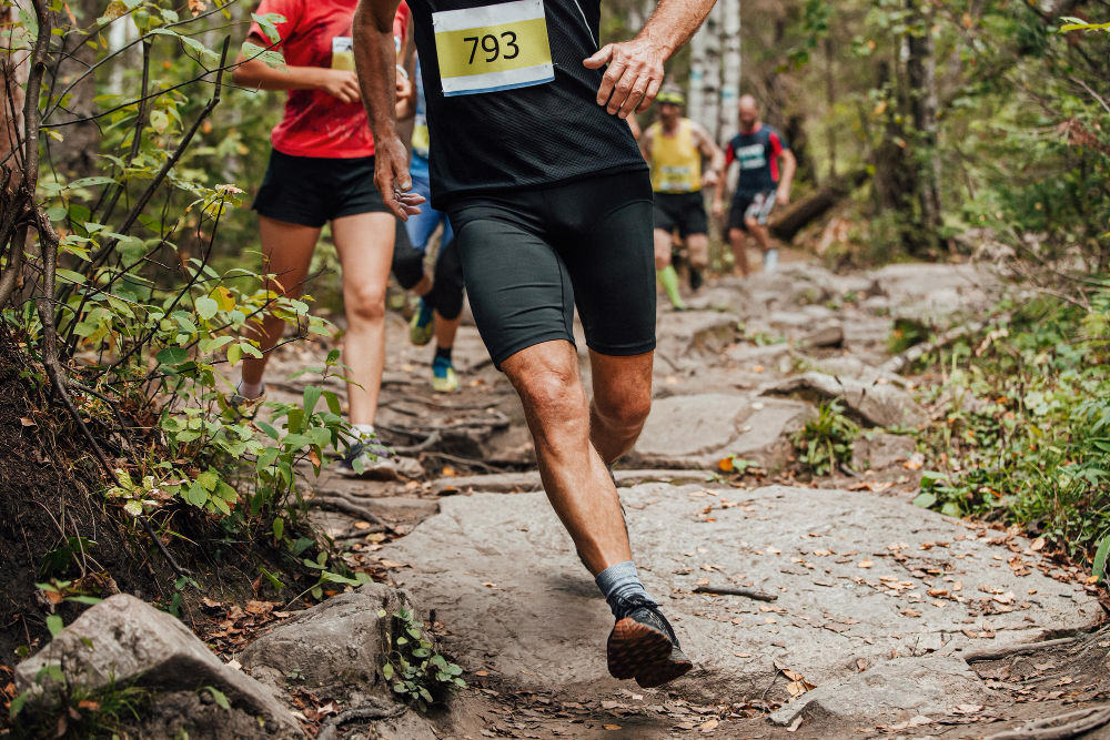 L'Harcy Trail