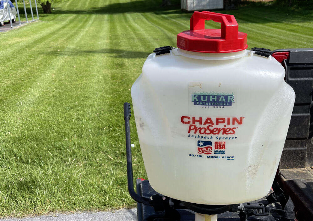 Lawn Fertilization and weed control service
