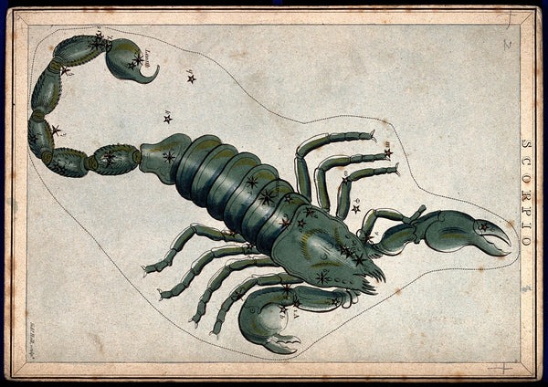 Scorpio  constellation 