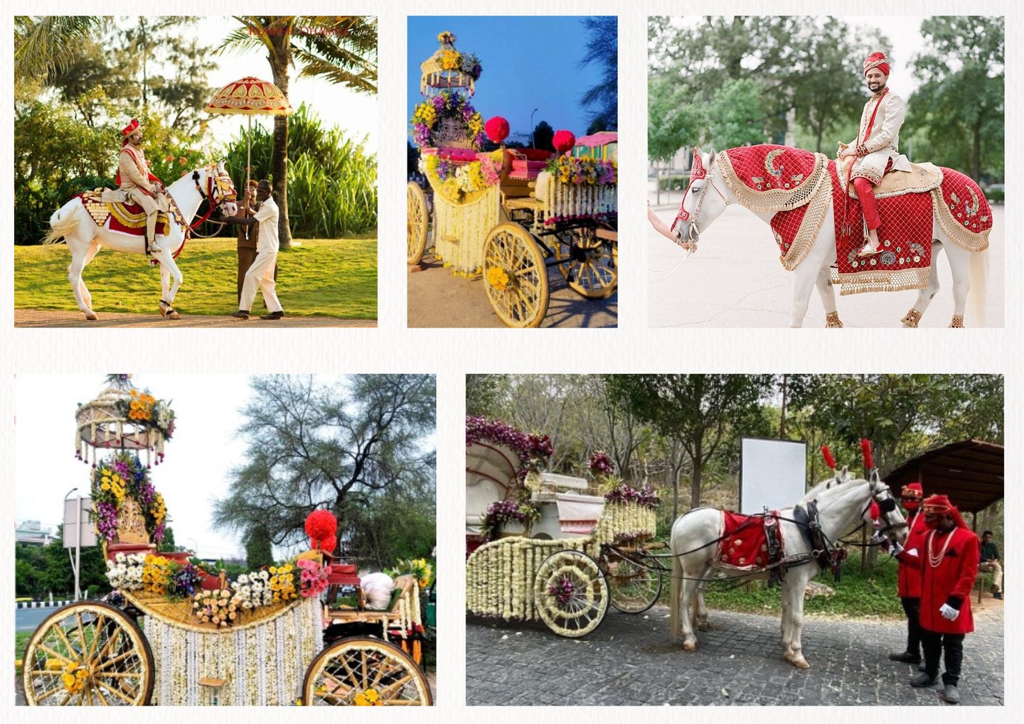 ROYAL GHODI AND BAGGI BY GEET EVENTS