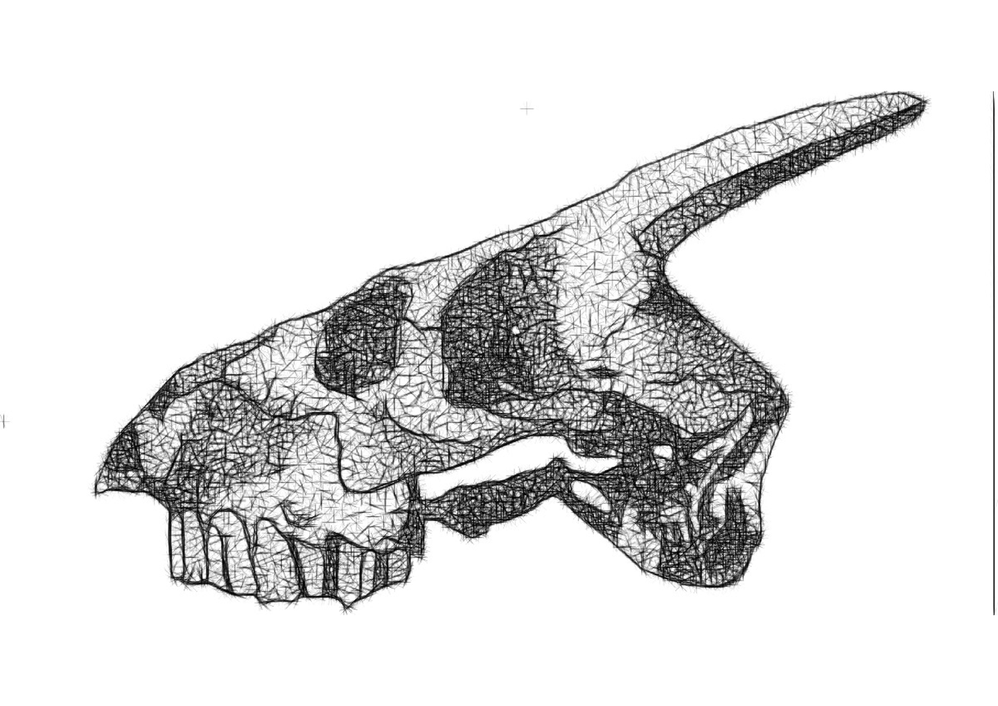 a skullet with a skull head and a skull head