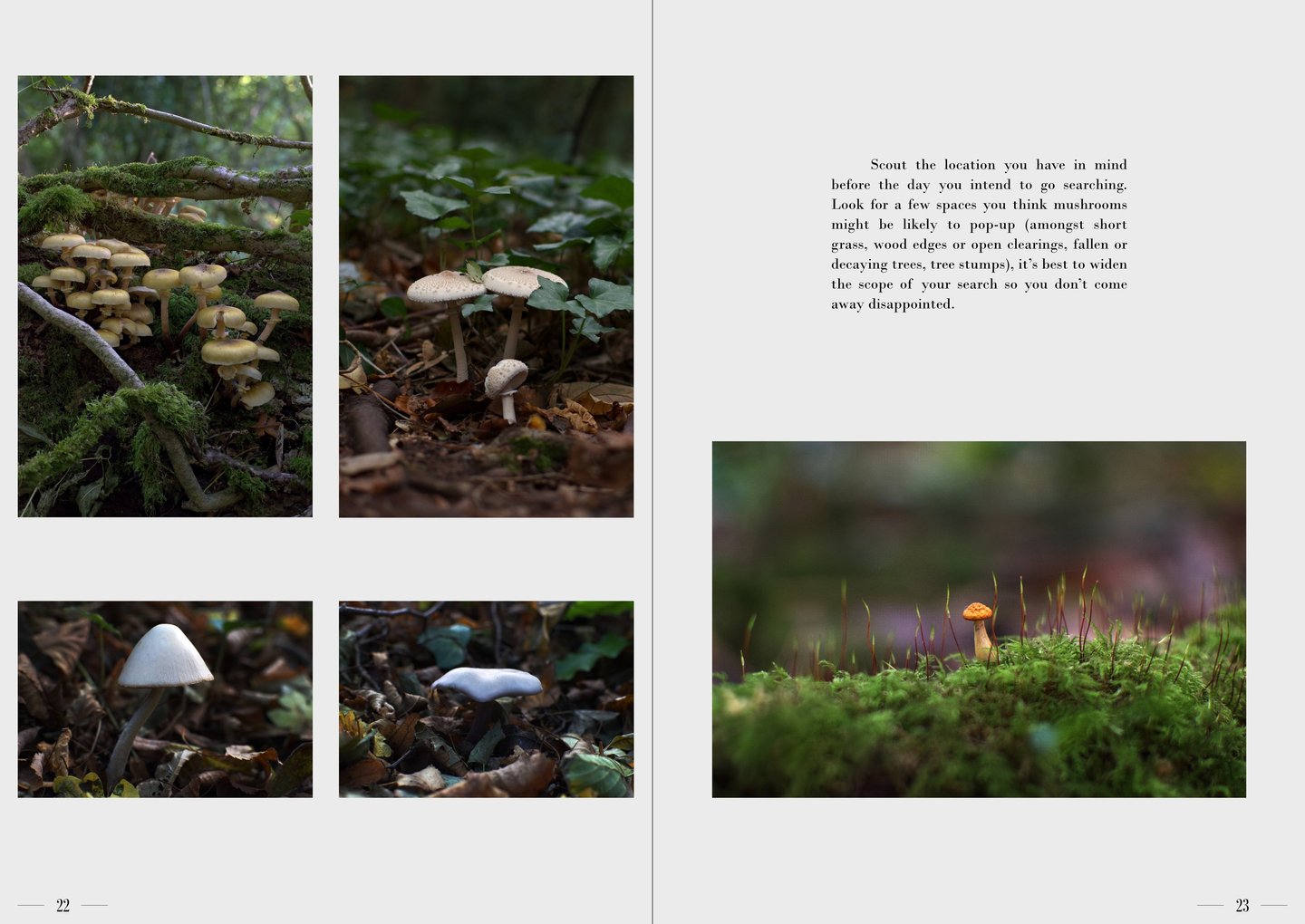 Ulterior pages 22-23