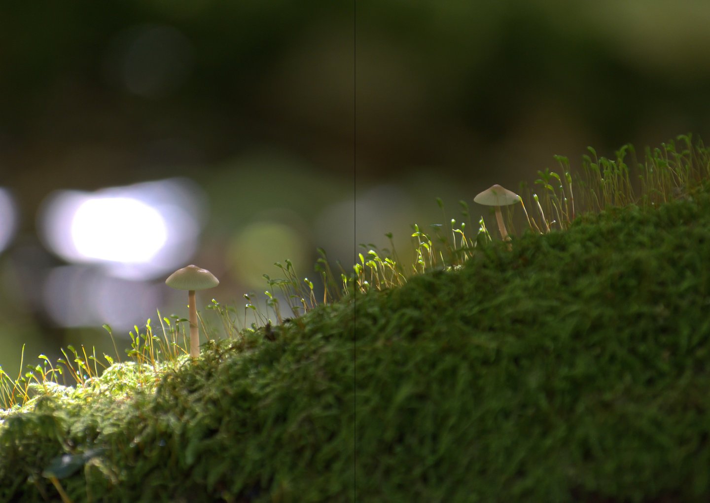 Ulterior pages 24-25