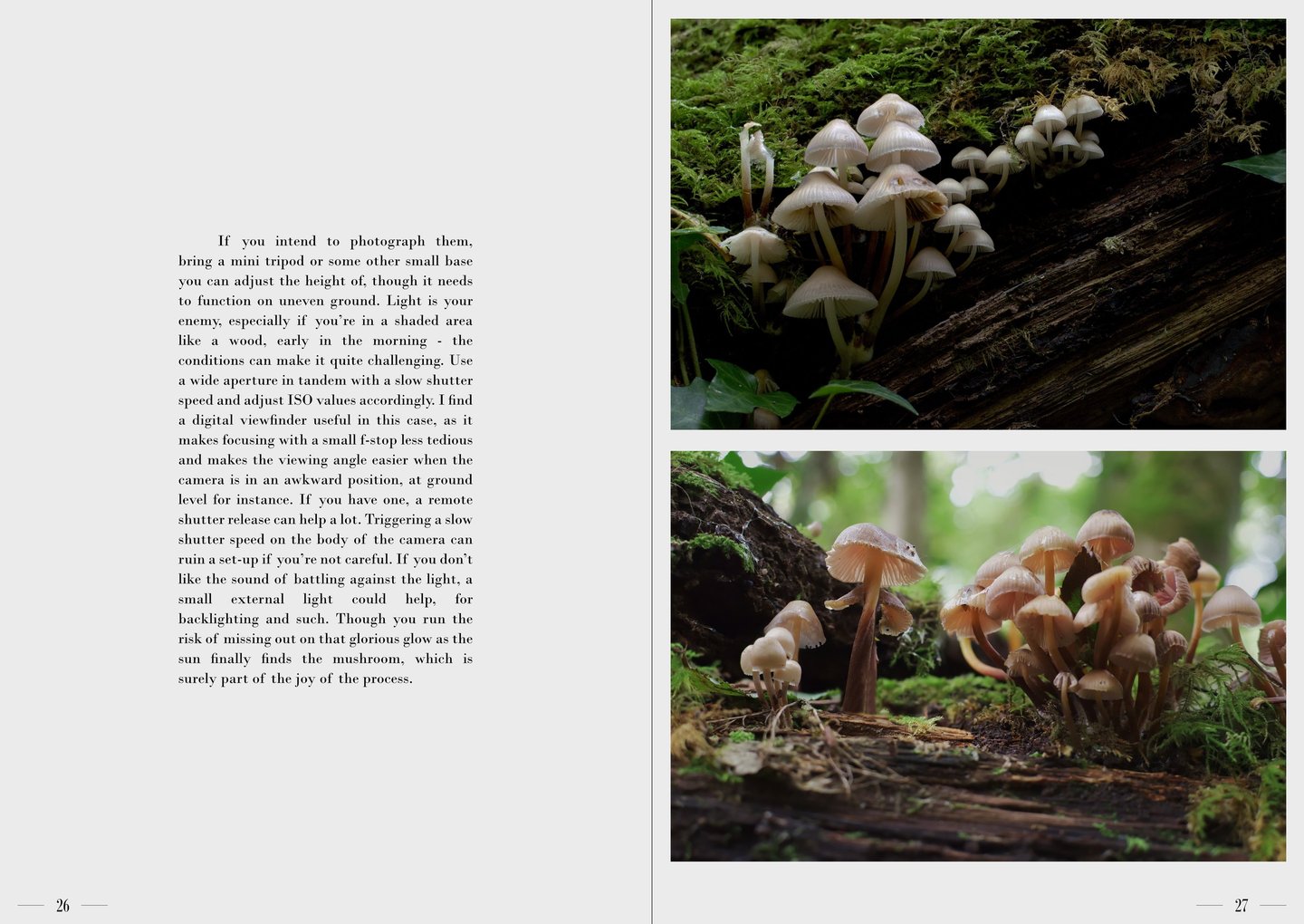 Ulterior pages 26-27