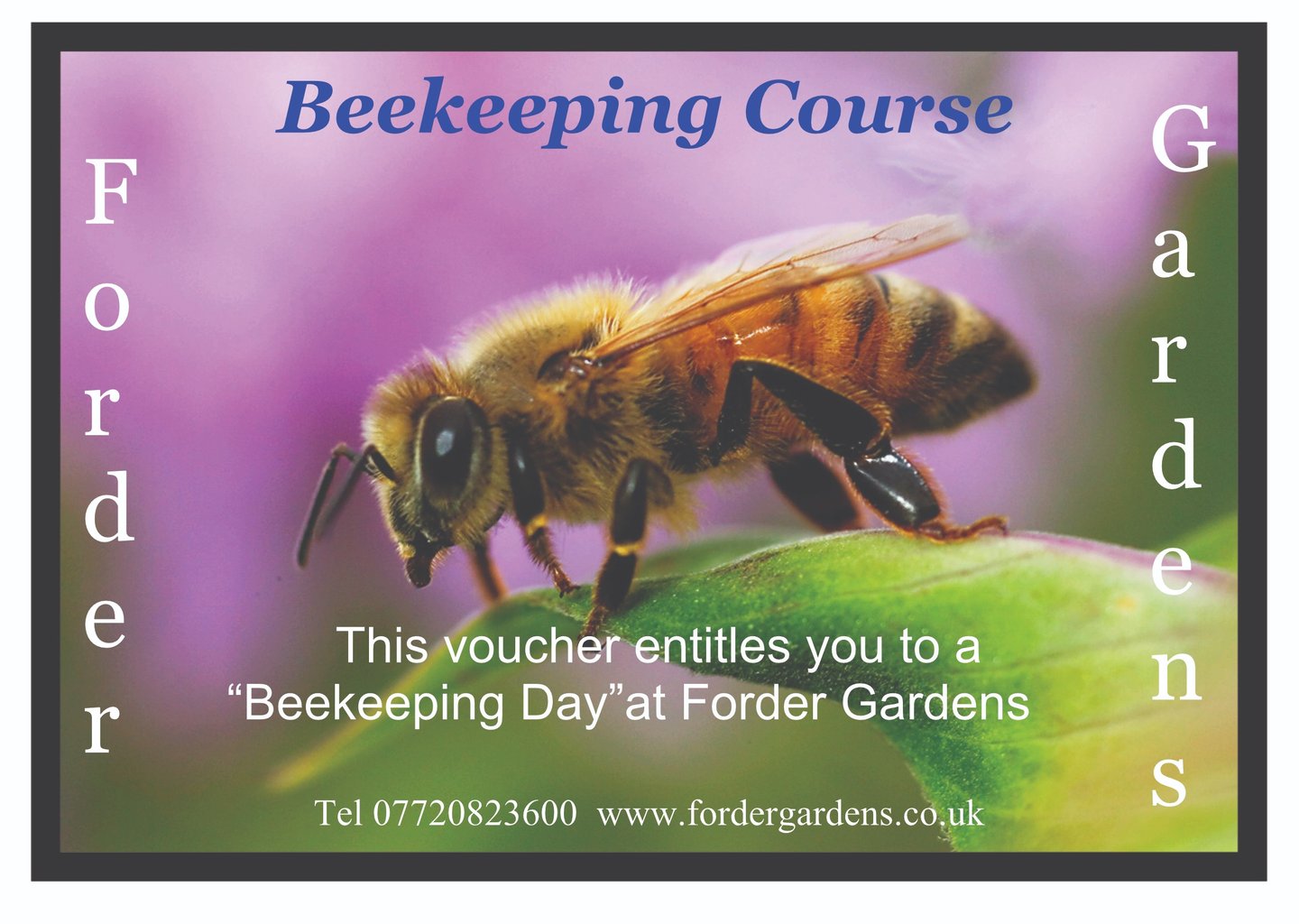 Beekeeping , Gift Vouchers