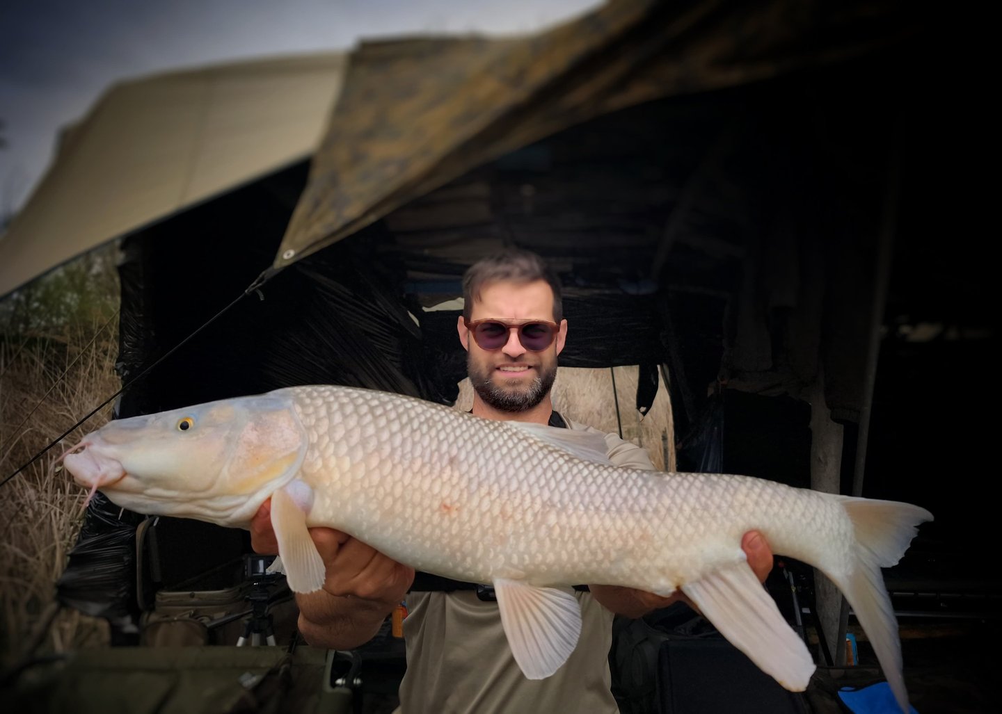 a man holding a large fish barbel fish