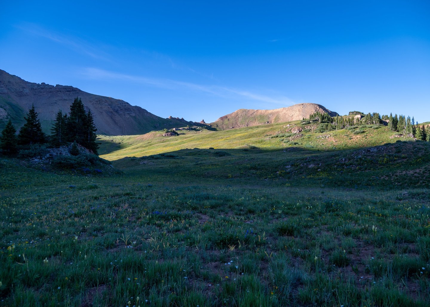 Wildflowers fill a lush basin below West Maroon Pass as sunrise highlights distant mountain peaks 