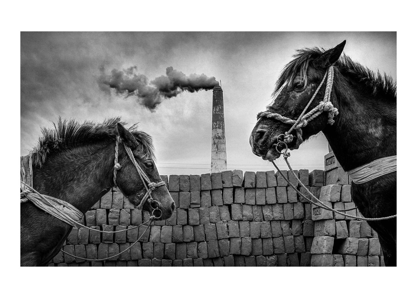 Sujan Sarkar Photography 0076