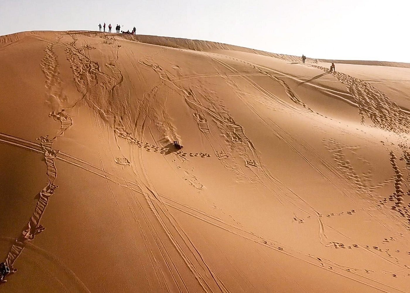 Tourists sandboarding down a high sand dune in the Sahara Desert under a clear sky.