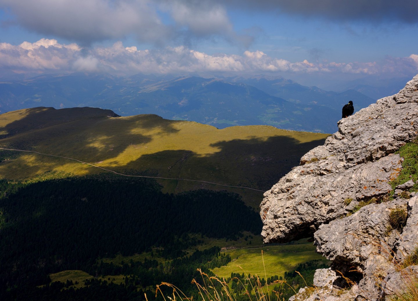 Vue sur le plateau en contrebas de Seceda