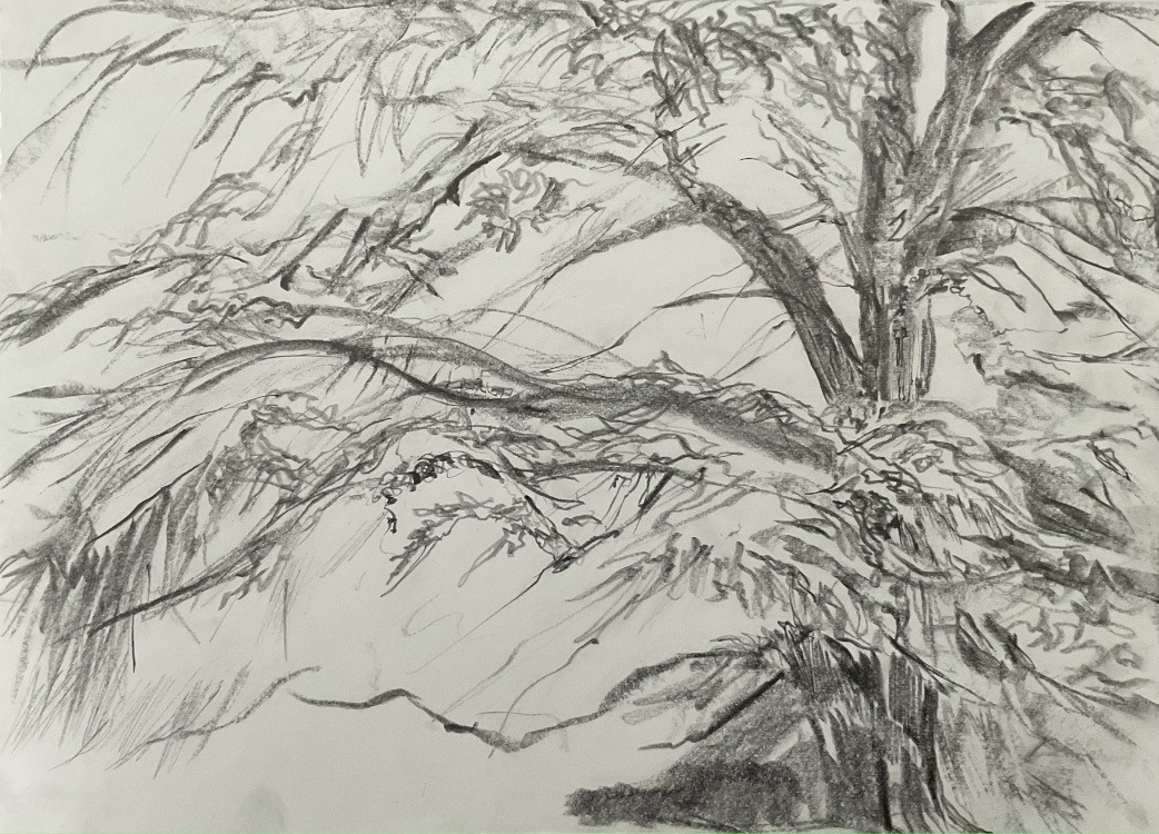 Dumfries House Study 2