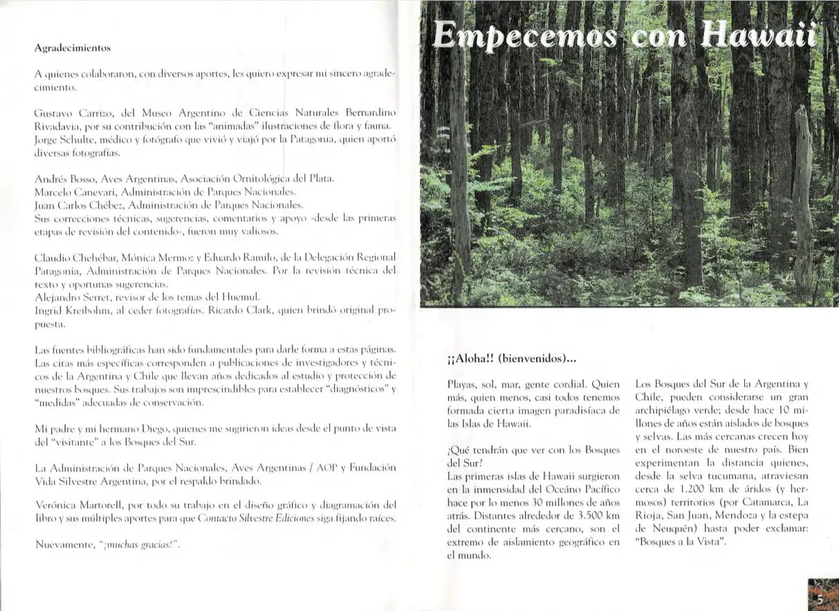 Bosques del Sur Patagónico