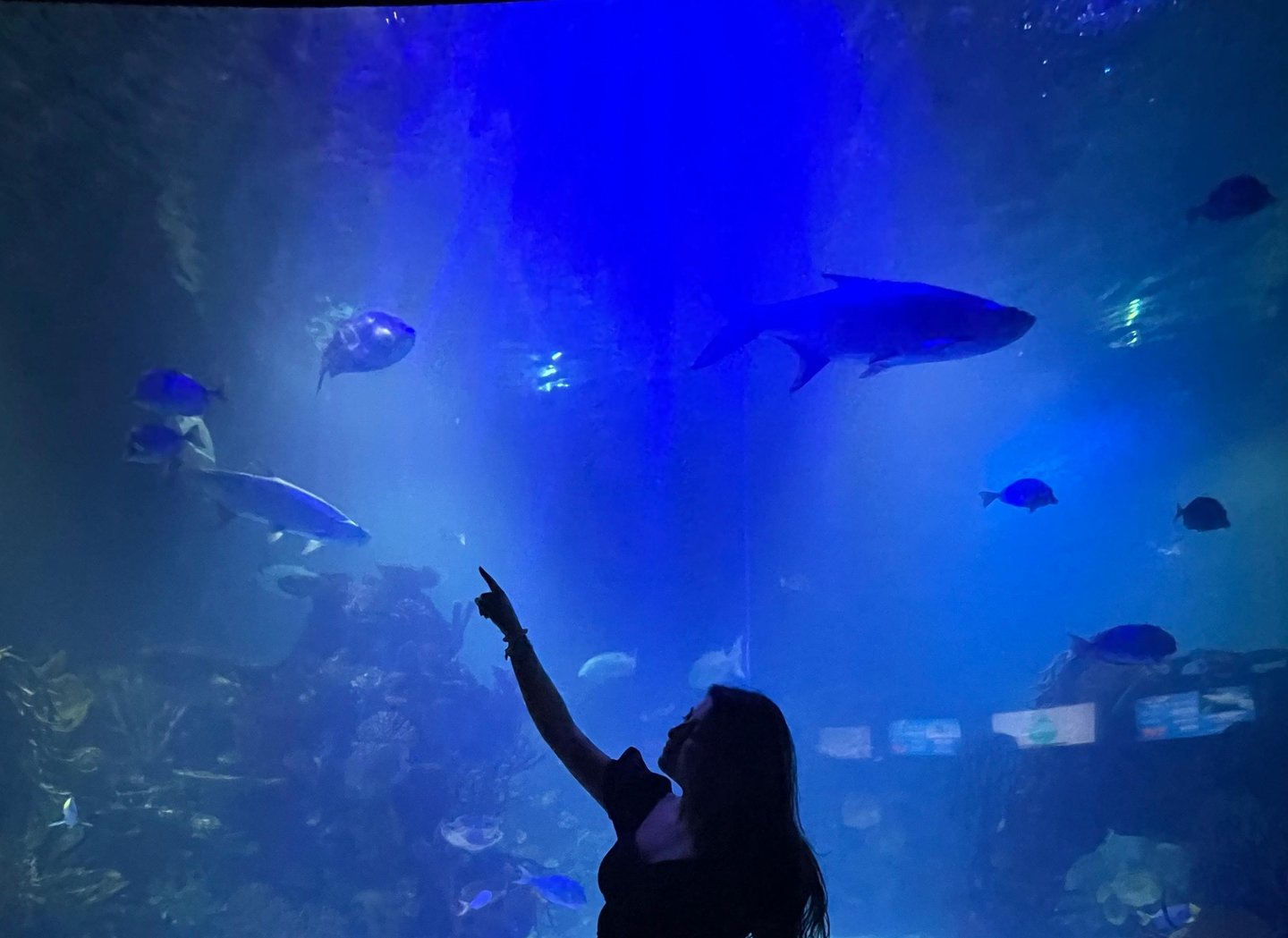 Aquaria KLCC