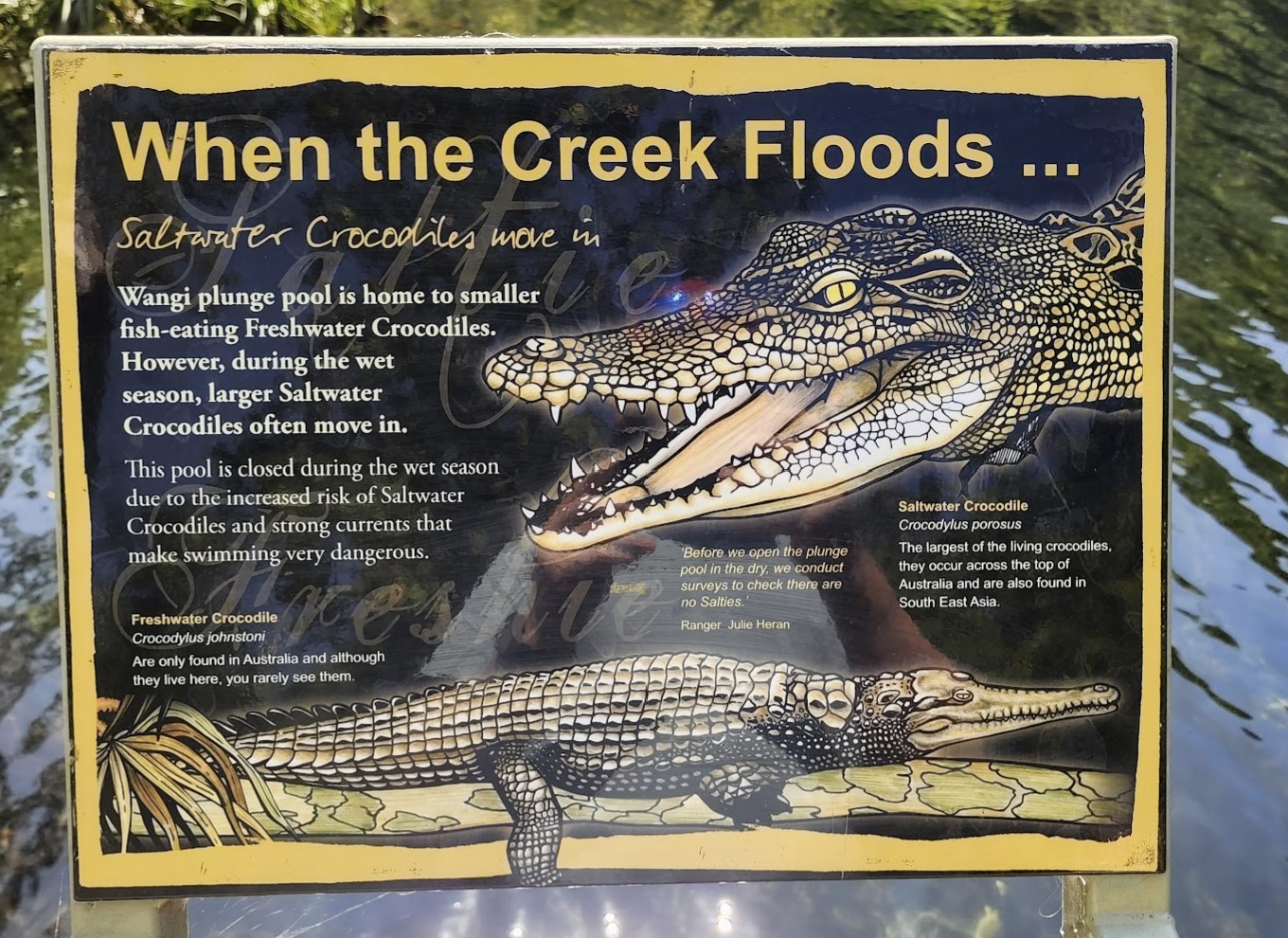 Saltwater Crocodile information sign