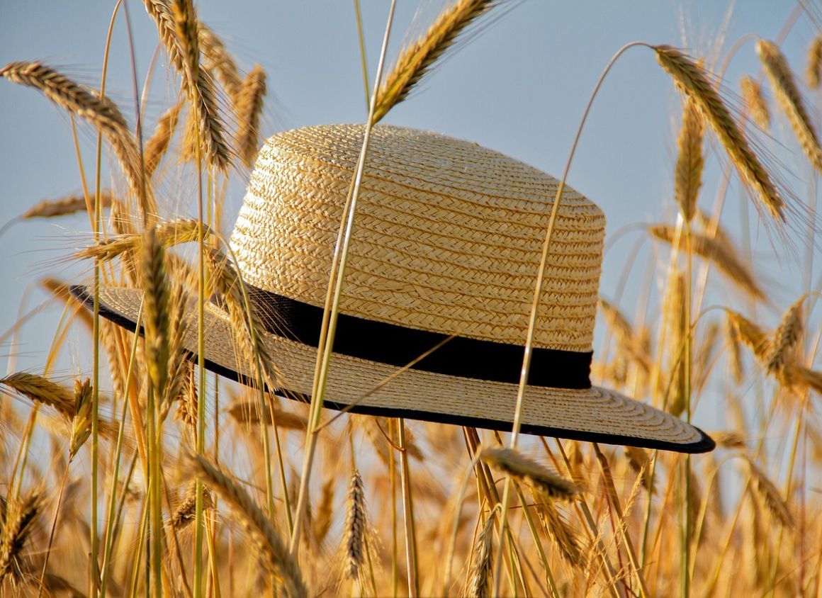 Danger of Heatwaves and Heatstrokes