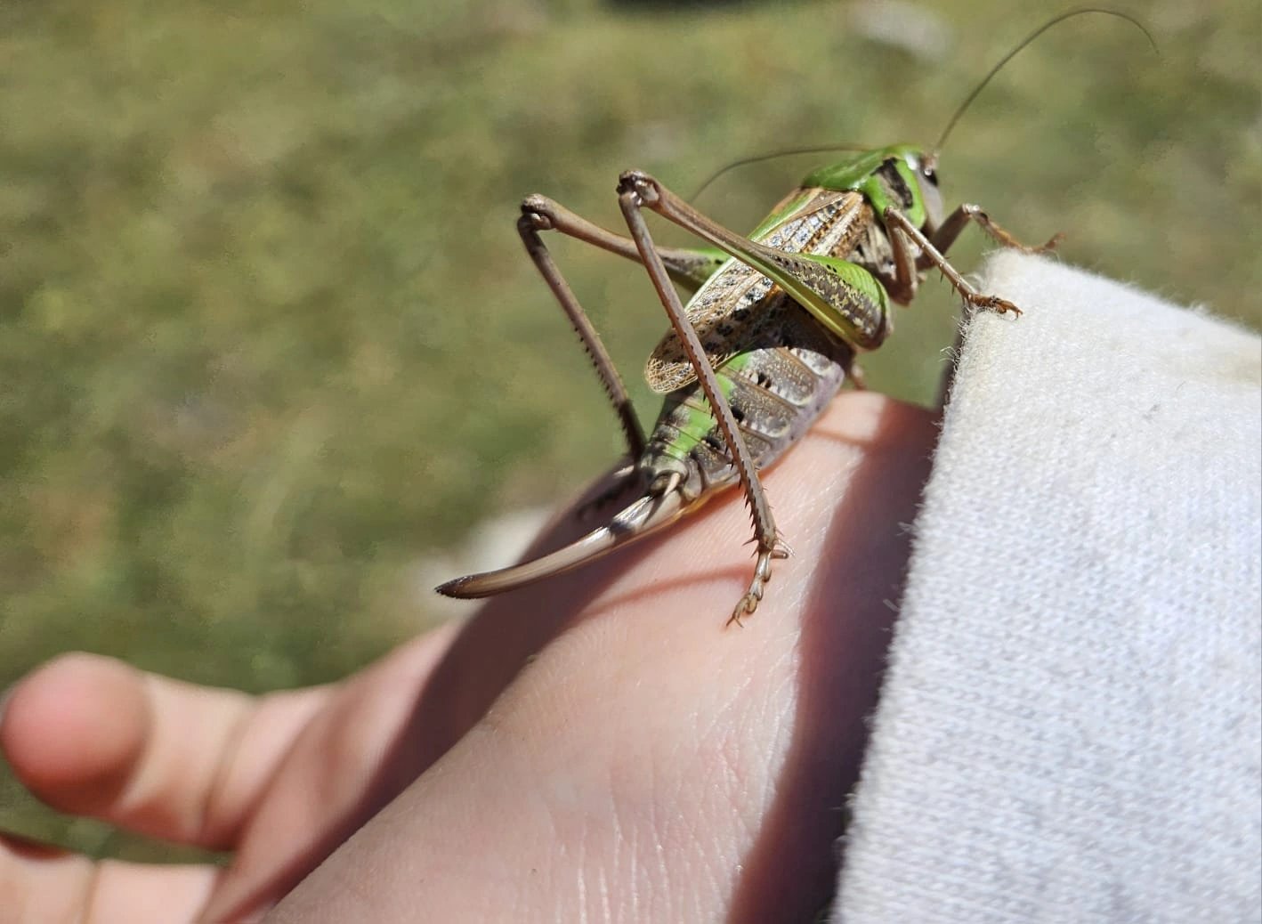 Randonnée quad "Découverte faune et flore" demi ou journée